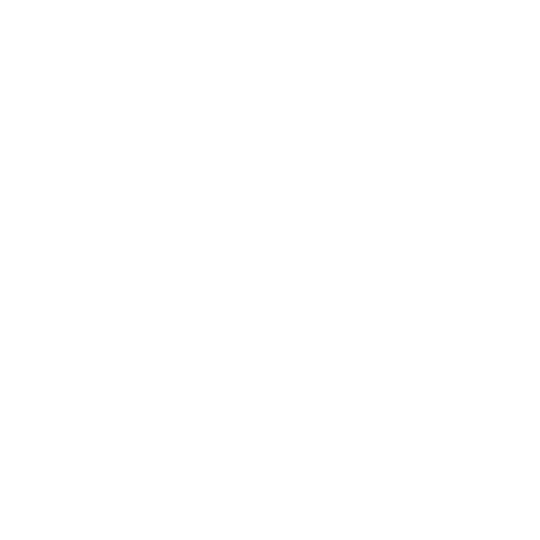 Truth Explorer Institute